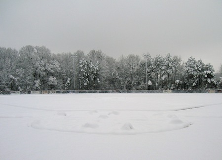 A blanket of white covers Field #1